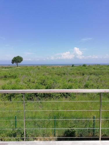 Le Pilotis