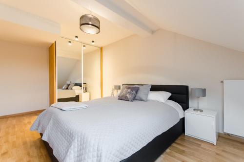 Central Penthouse with terrace, Cracovie (photo 10)