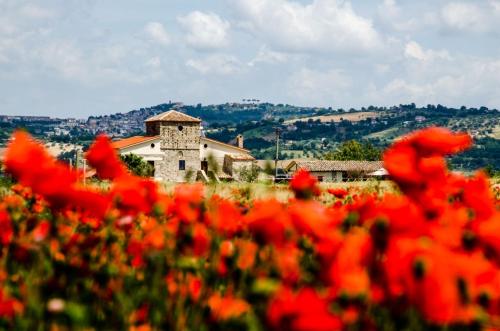 Country Relais La Torretta Baronale 5