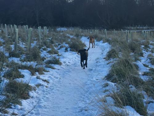 Aviemore Highland Holiday Home