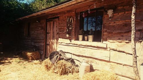 La Cabane Aux Loups - Location, gîte - Crépy-en-Valois