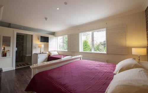 Sea Breeze Lodge B&B - image 2