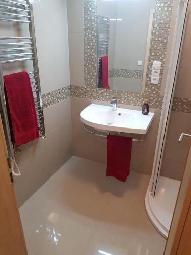 NEWLY BUILT APARTMENT 5 WITH BALCONY NEAR CENTER in ซาบอฟเรสกี