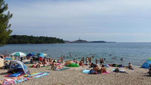 Apartments Ana - Rovinj 5