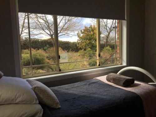 Rocky Rest Room Type - Deluxe Twin Room