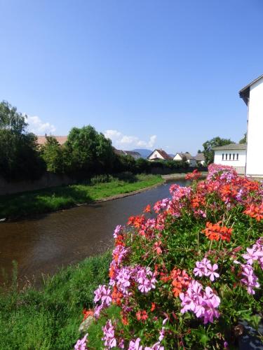 Gite au pré des Oies