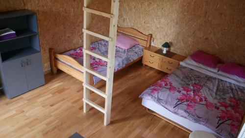 Metsjarve kamping