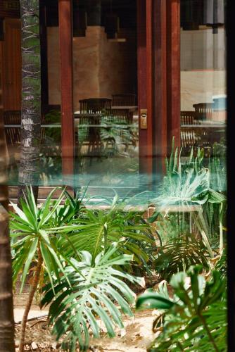 Hotel Porto Santo & Spa - image 5