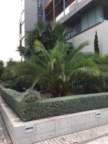  Loft with terrace 24m2, swimming pool and garage in Chirivella