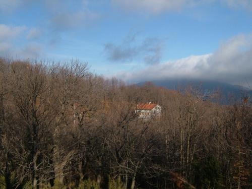  Casa nel bosco in Osiglia