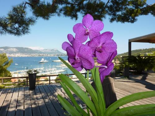 Home6 – Saint Mandrier, ID