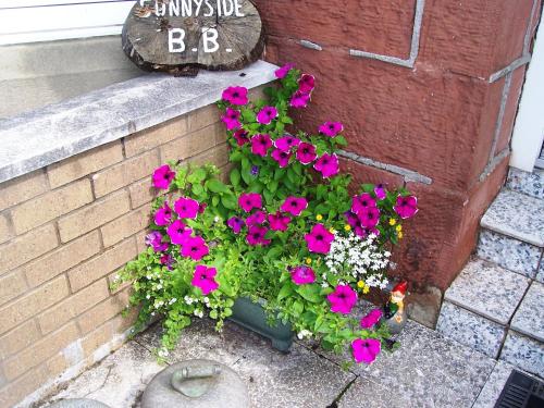 Sunnyside B&B - main image