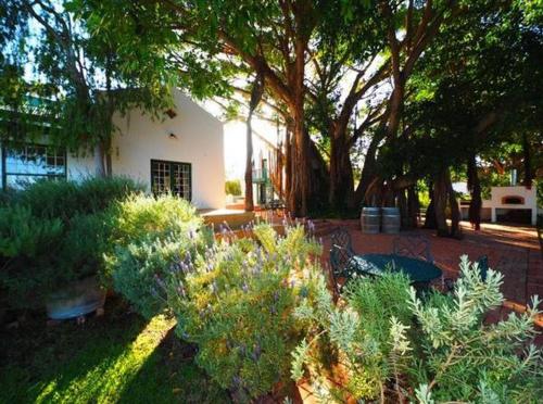 Tanagra Wine & Guestfarm photo