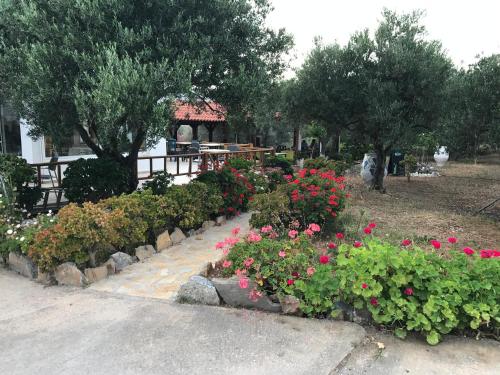 Tholos Rooms 5