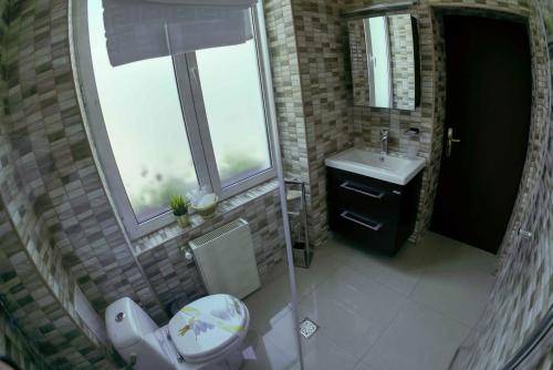 Bucharest Downtown Inn - image 7