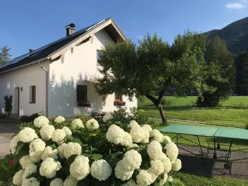 Ferienhaus Franz Eisl Radau 39 in St. Wolfgang, Österreich
