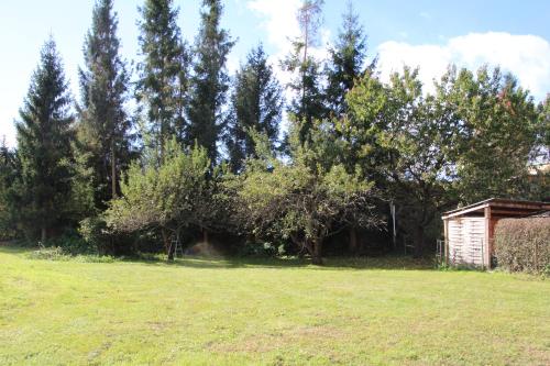 Udvendig, Narrenhaus in Fohnsdorf