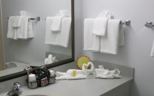 Days Inn by Wyndham Daytona Oceanfront - image 7
