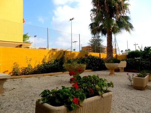 2 bedroom apartment L'Ancora in the Arenal Beach