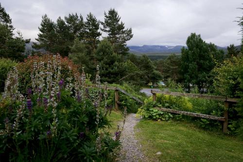 Фотография номера хостела Cairngorm Lodge Youth Hostel