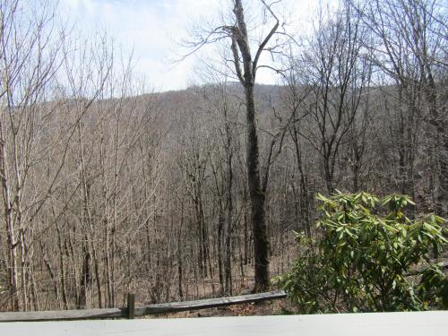 High Ceiling Skyleaf A9 Condo in Sugar Mountain, USA