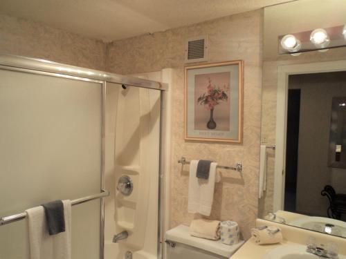 Sugar Top 2520 Condo in Sugar Mountain, USA