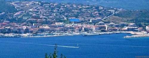 I Tre Sirenelli - Location saisonnière - Propriano