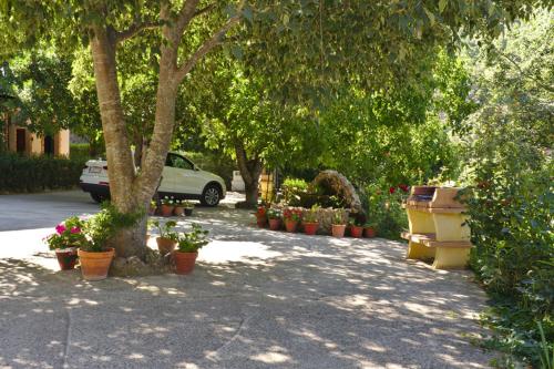 Casa Rural Arroyo Rechita