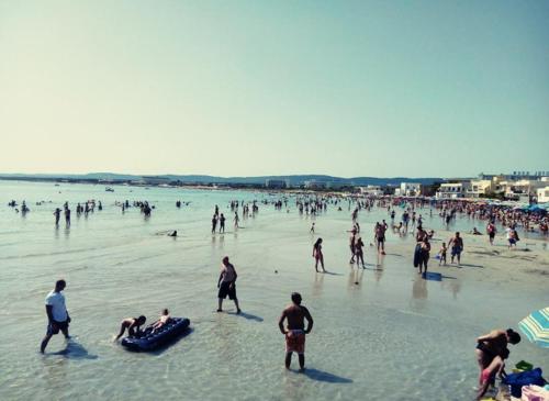  Francesco B&B - Torre Canne in Torre Canne