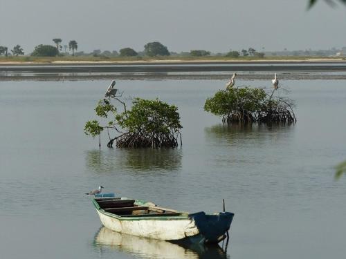 Ecolodge de Simal