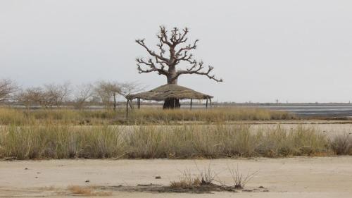 Ecolodge de Simal