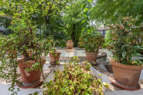 Apartamentos Gadi Corral Siglo XVI, Sevilla (Foto 10)