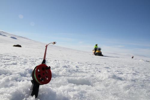 Skoganvarre Villmark - image 7