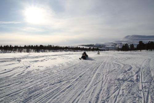 Skoganvarre Villmark - main image