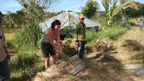 ESA di Kubu Homestay