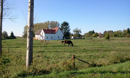  Ferme Lenfant, Pension in Ville-Pommeroeul bei Basècles