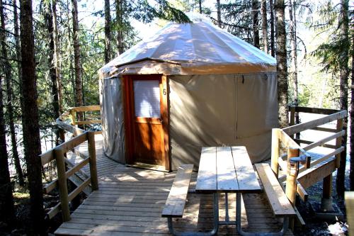 Camping Yurt #2