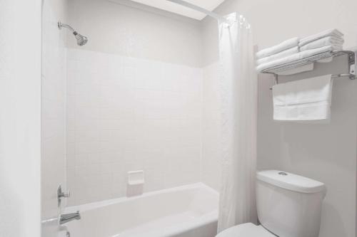 Super 8 by Wyndham Windsor/Madison North - image 6