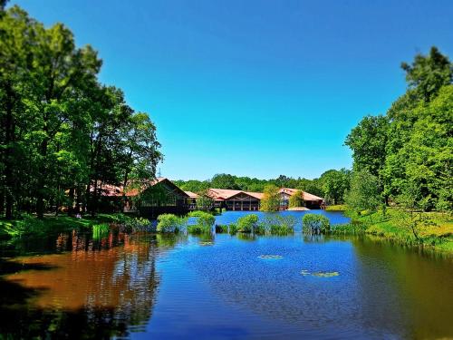 Stacja Nowa Gdynia Bed & Breakfast Aquapark 4