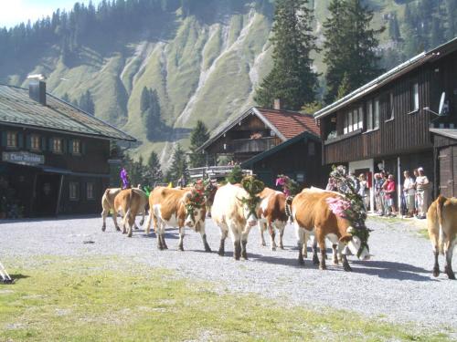 Berggasthof Obere Firstalm - main image