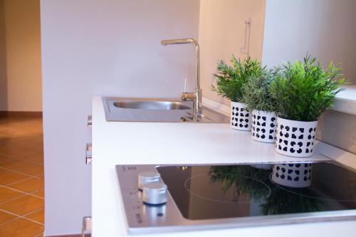 Shanti Home – Sorrento, CO