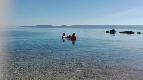  Apartmani Tanja in Marusici 