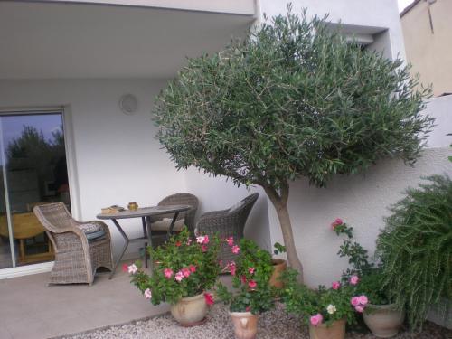 B&B Marseillan - la scribote - Bed and Breakfast Marseillan