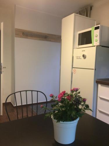 ห้องครัว, Apartmán Brno Jelenice (Apartman Brno Jelenice) in บิสเตรซ