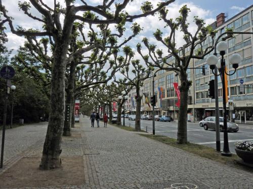 Ferienwohnung-Wiesbaden-Top3