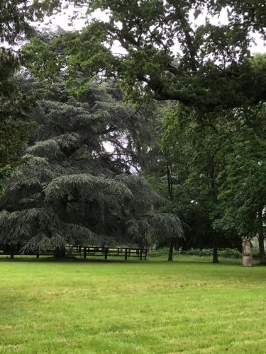 Le Domaine d'Olène