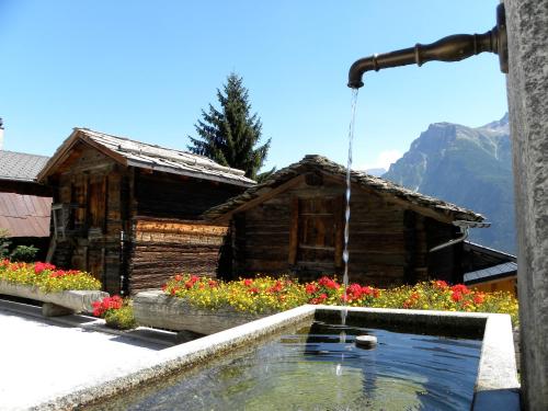 Bergquell Haus D - image 4