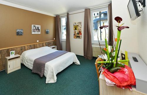 Logis Hotel Restaurant du Midi - Rodez Centre