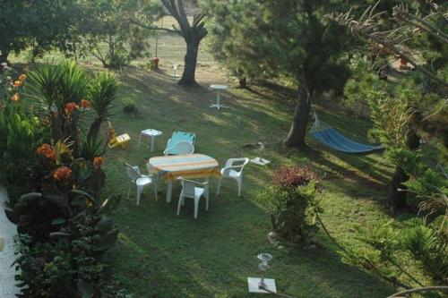 Gongis Studios, Agios Georgios (foto 2)