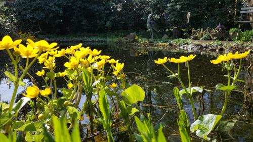 B&B De Slaperije - image 4